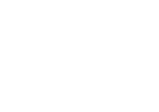 Mete